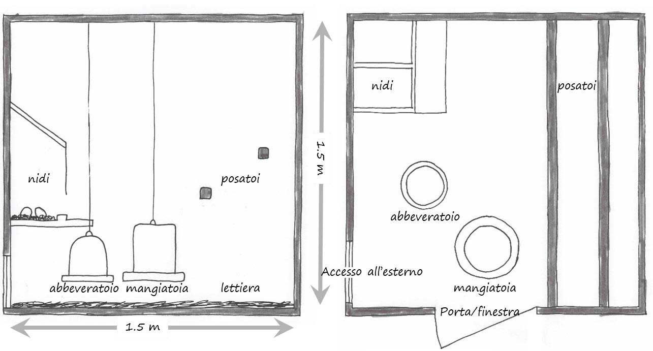 Pianta raccomandata  con relativa struttura
